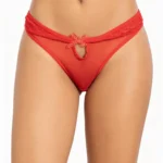 Panty tipo brasilera en encaje y tull rojo